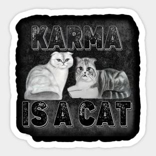 Karma Is A Cat - Beautiful Olivia Benson And Meredith Grey Sticker